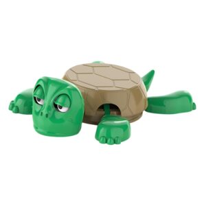 Turtle Coaster